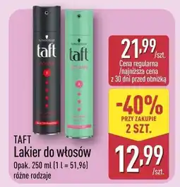 ALDI Lakier do włosów oferta