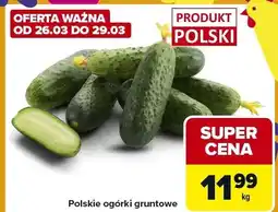 Carrefour Express Polskie ogórki gruntowe oferta