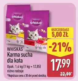 ALDI Karma sucha dla kota oferta