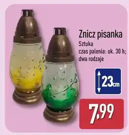 ALDI Znicz pisanka sztuka oferta