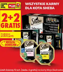 Biedronka Wszystkie karmy dla kota Sheba oferta