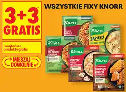 Biedronka WSZYSTKIE FIXY KNORR oferta
