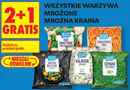 Biedronka WSZYSTKIE WARZYWA MROŻONE MROŹNA KRAINA oferta