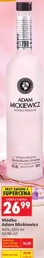 Biedronka W3dka Adam Mickiewicz oferta