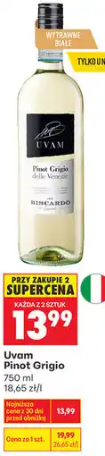 Biedronka Uvam Pinot Grigio oferta