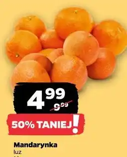 Netto Mandarynka oferta