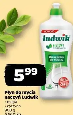 Netto Płyn do mycia naczyń Ludwik oferta