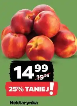Netto Nektarynka luz oferta