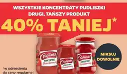 Netto Wszystkie koncentraty Pudliszki oferta