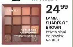 Sekret Urody LAMEL Shades of Brown oferta