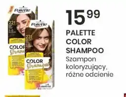 Sekret Urody Palette Color Shampoo oferta