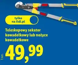 Lidl Teleskopowy sekator kowadełkowy lub nożyce kowadełkowe oferta