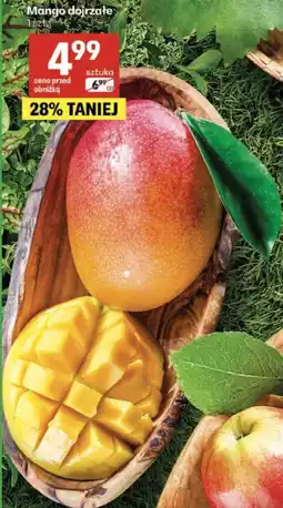 Delikatesy Centrum Mango dojrzałe oferta