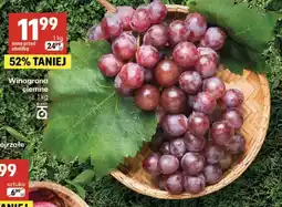 Delikatesy Centrum Winogrona ciemne oferta