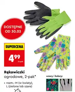 Biedronka Rękawiczki ogrodowe, 2-pak oferta