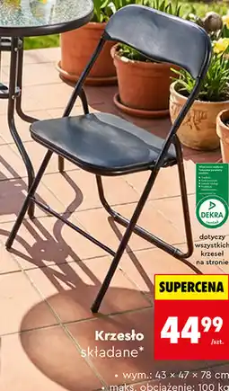 Biedronka Krzesło składane oferta