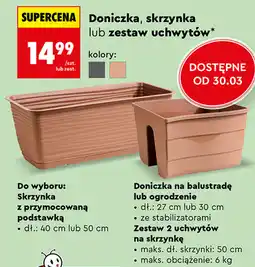 Biedronka Doniczka, skrzynka lub zestaw uchwytów oferta