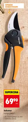 Biedronka Sekator nożycowy L oferta