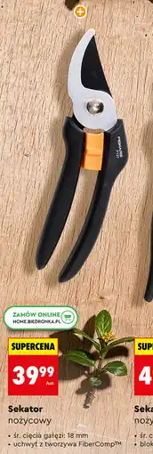 Biedronka Sekator nożycowy oferta