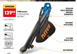 Biedronka Odkurzacz z dmuchawą do liści oferta