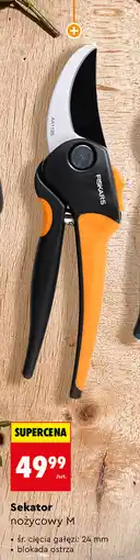 Biedronka Sekator nożycowy M oferta