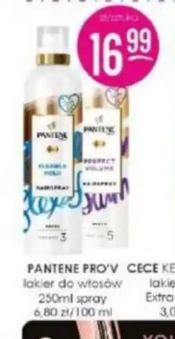 Jaśmin Pantene lakier do włosów oferta