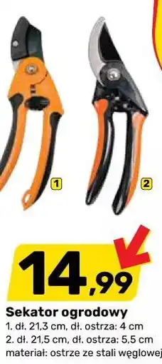 Bricomarche Sekator ogrodowy oferta