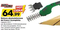 Bricomarche Nożyce akumulatorowe do trawy i żywopłotu oferta