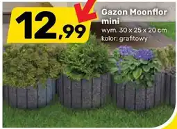 Bricomarche Gazon Moonflor mini oferta