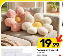 Bricomarche Poduszka Kwiatek oferta