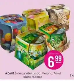 Jaśmin Swieca Wielkanoc Admit oferta