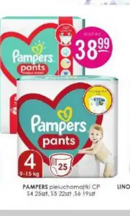 Jaśmin Pampers pieluchomajtki oferta