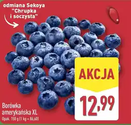 ALDI Borówka amerykańska oferta