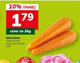 Hitpol Marchew oferta