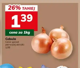 Hitpol Cebula oferta