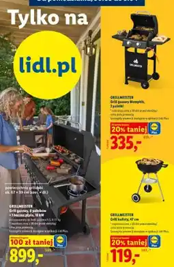 Lidl Grill kulisty, 47 cm oferta