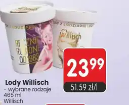Market Point Lody Willisch wybrane rodzaje oferta