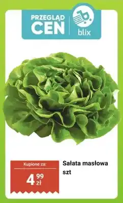 Dino Sałata masłowa 1 szt oferta