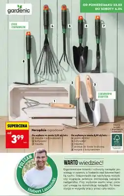 Biedronka Motyka z kultywatorem oferta