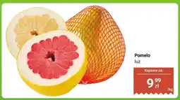 Dino Pomelo luz oferta