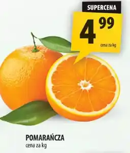 Arhelan Pomarańcza oferta