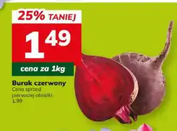 Hitpol Burak czerwony oferta
