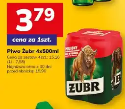 Hitpol Piwo Żubr oferta