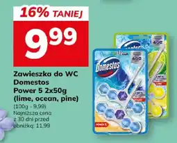 Hitpol Zawieszka do WC Domestos Power 5 oferta