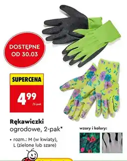 Biedronka Rękawiczki ogrodowe oferta