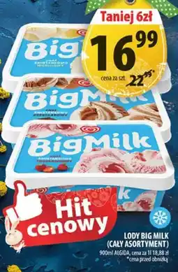 Arhelan Lody Big Milk (cały asortyment) oferta