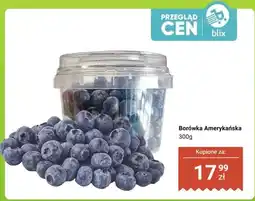 Dino Borówka amerykańska oferta