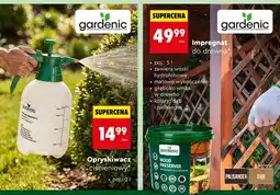 Biedronka Impregnat do drewna palisander oferta