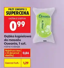 Biedronka Gąbka kąpielowa do masażu różne rodzaje oferta