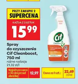 Biedronka Spray do czyszczenia Cleanboost, różne rodzaje oferta